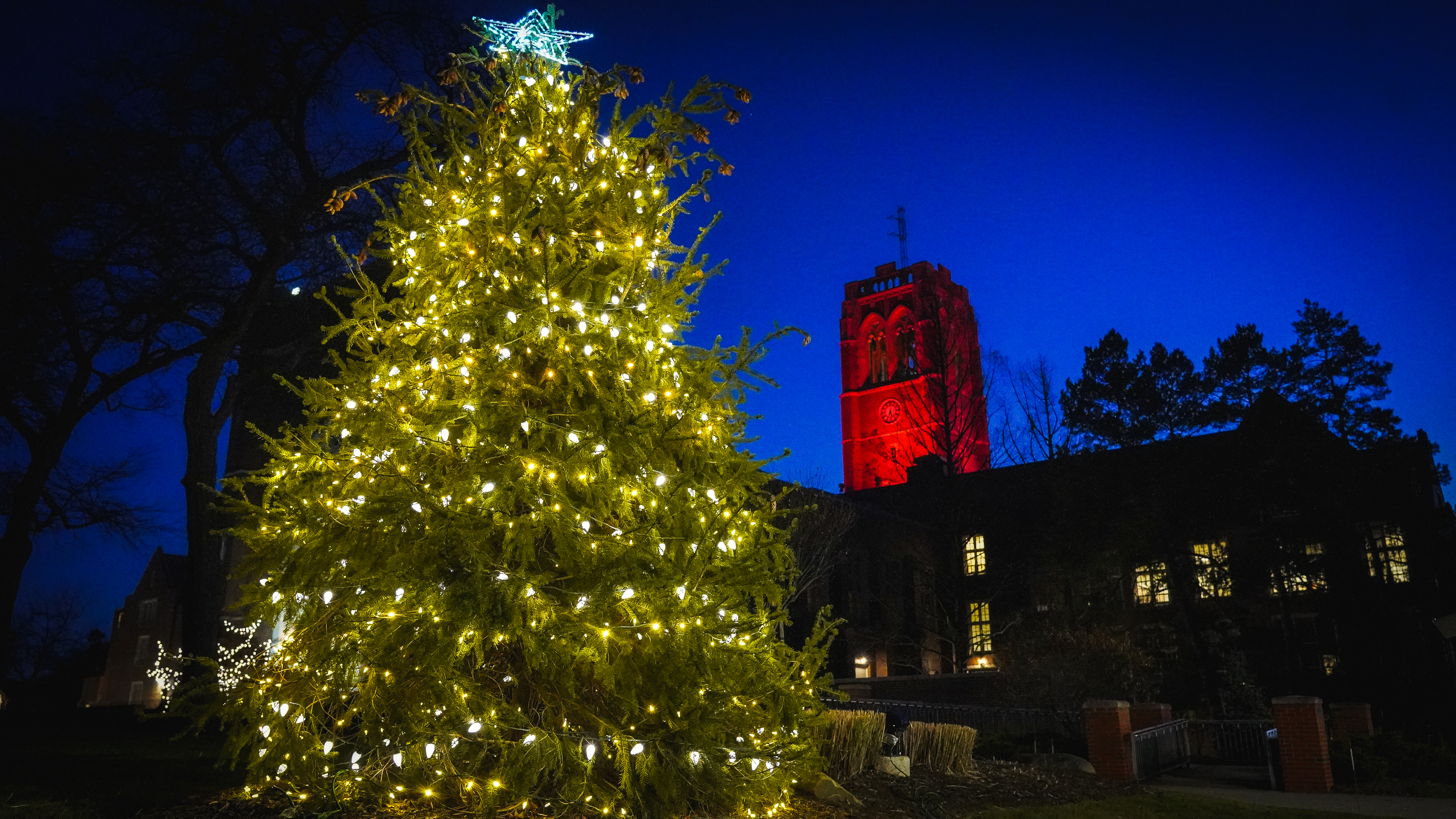 christmas tree on quad in front of saint ignatius tower