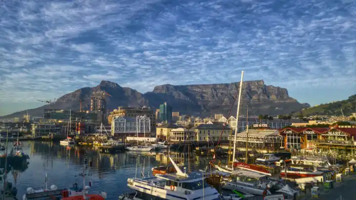 Study Tour Cape Town