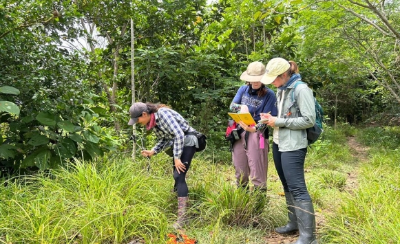 biology students out in the field studying insects