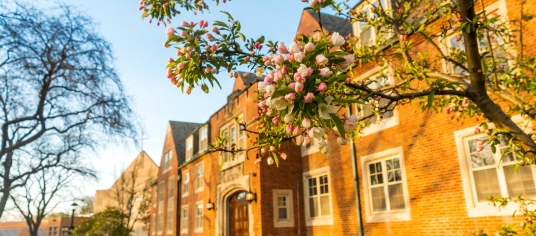 Picture of JCU campus in spring. 